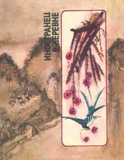 Книга Иностранец в деревне, 11-8807, Баград.рф